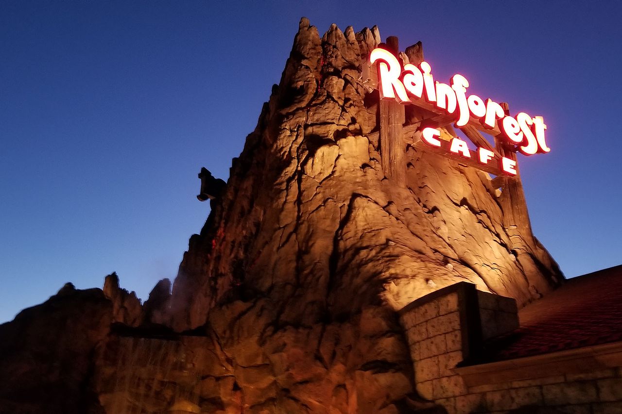 Rainforest Cafe® at Disney Springs Marketplace