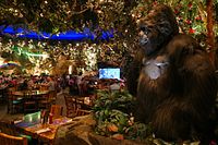Rainforest Cafe® at Disney's Animal Kingdom