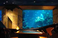 Coral Reef Restaurant