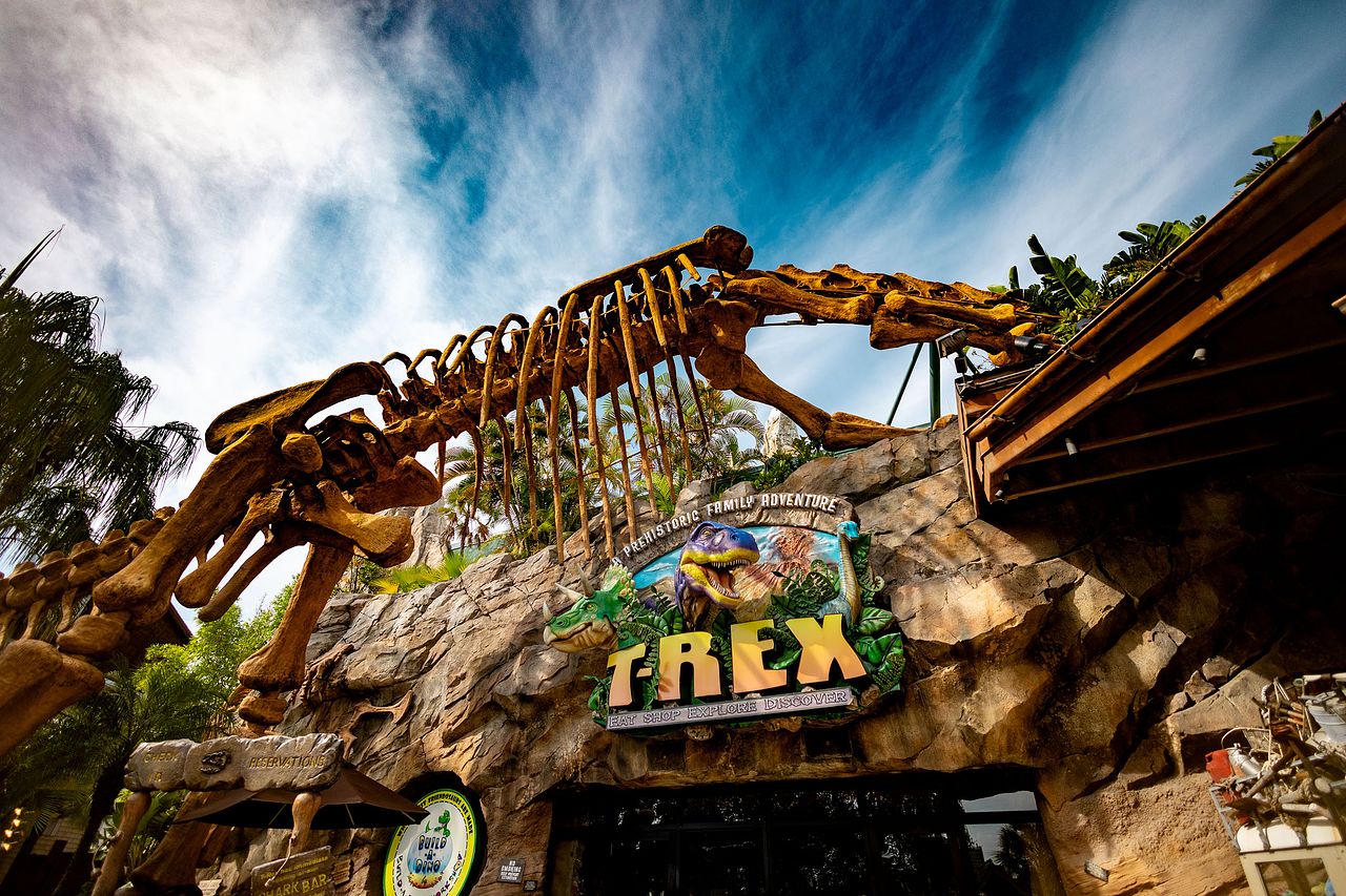T-REX ™