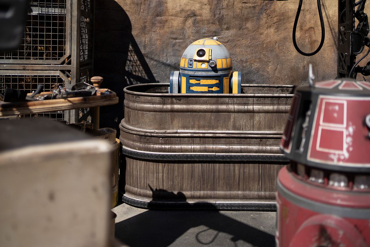 WDW Star Wars: Galaxy's Edge Custom Astromech Units