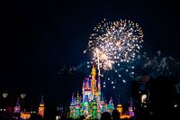 Magic Kingdom Fireworks Dessert Parties: Post-Party